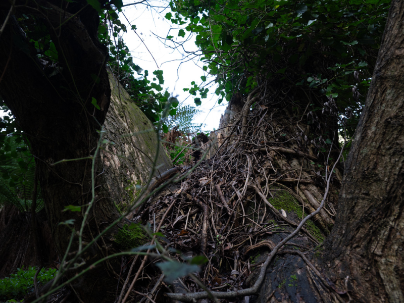 Screenshot 2025-06-20 145253.png