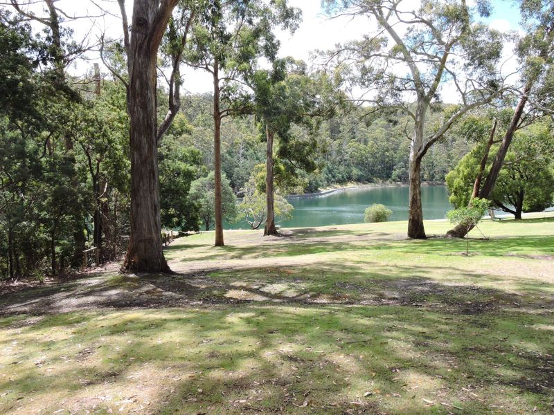 View through the trees down to the water of Waterworks Reserve