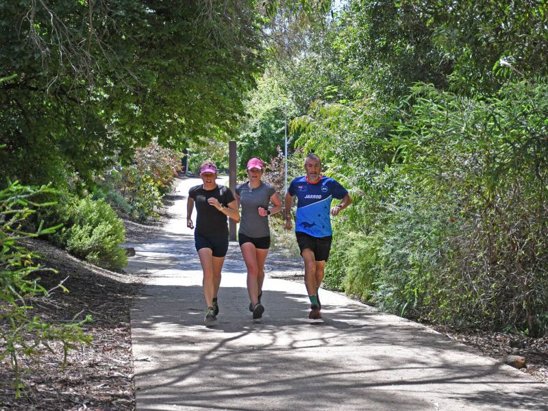 Runners at the Rivulet track