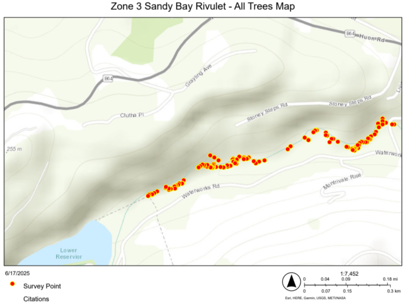 Zone 3 Sandy Bay Rivulet - All Trees Map